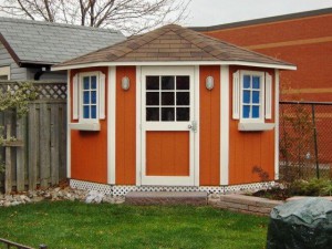 renaissance shed builder